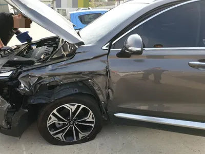 2019 Hyundai Santa FE KMHS381BBLU194994 VIN:KMHS381BBLU194994