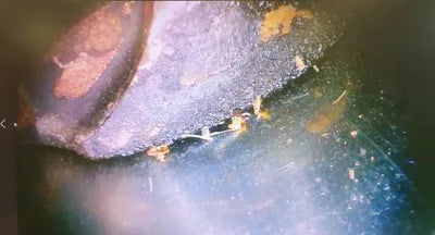 2019 Mercedes-Benz Maybach S 560 VIN: