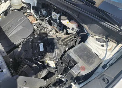 2021 Kia Sorento KNARH81BGMA036615 VIN:KNARH81BGMA036615