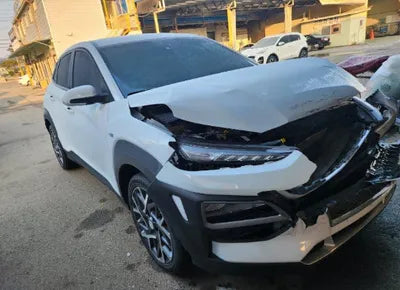 2020 Hyundai Kona KMHK381EGLU028060 VIN:KMHK381EGLU028060