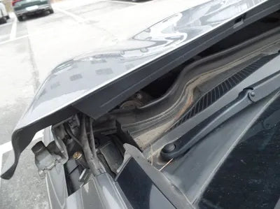 2019 Infiniti QX30 SJKCH53F5KA010410 VIN:SJKCH53F5KA010410