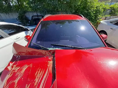 2019 Hyundai Kona KMHK281GFKU008281 VIN:KMHK281GFKU008281