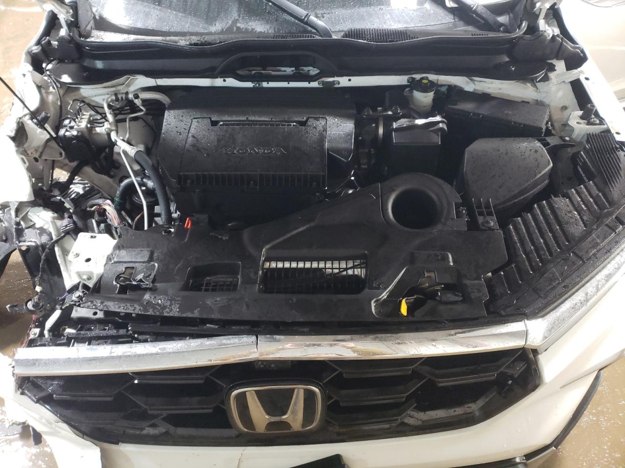 2023 HONDA PILOT ELITE VIN:5FNYG1H89PB005675