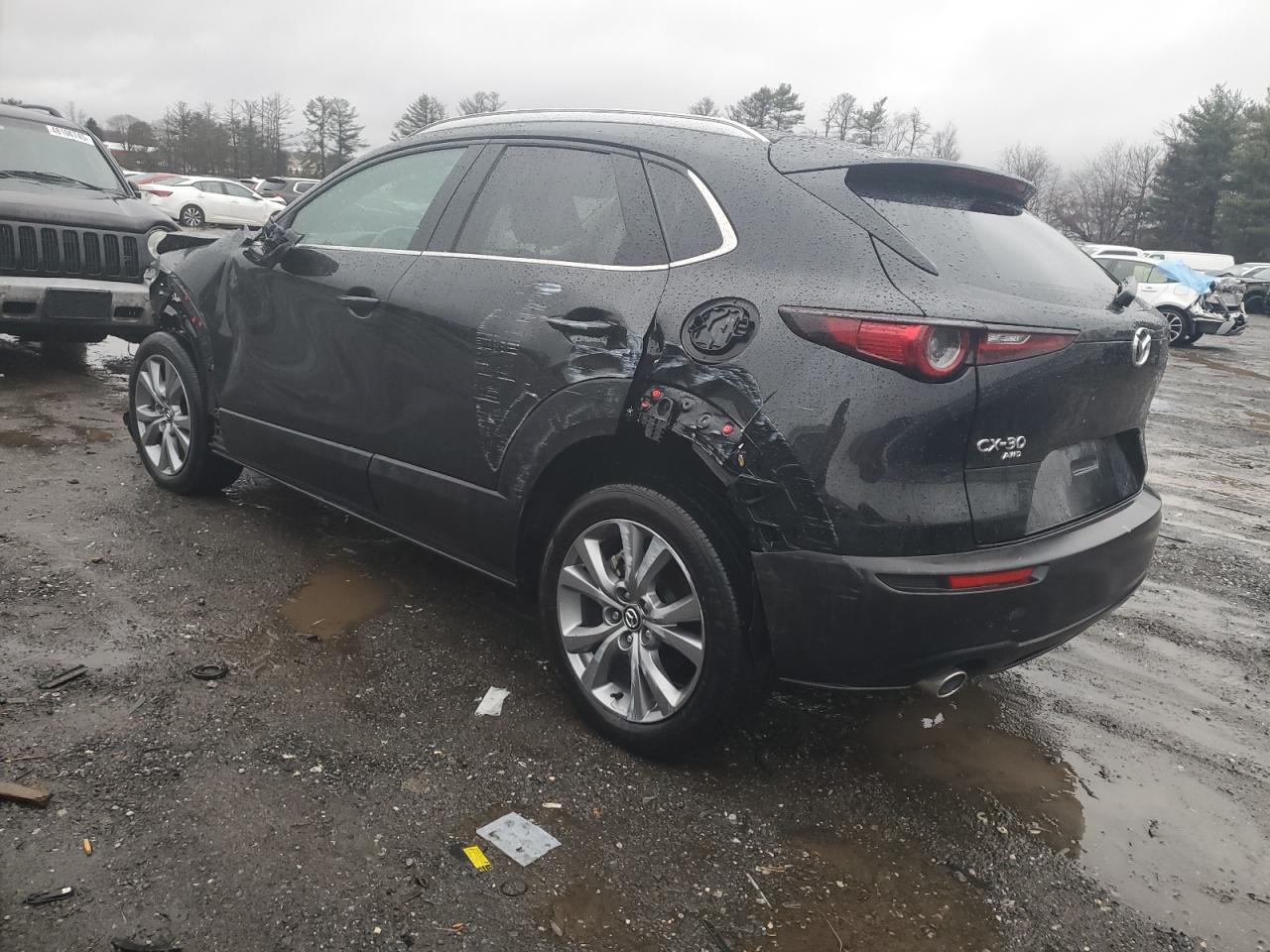 2023 MAZDA CX-30 PREMIUM VIN:3MVDMBDM1PM509079