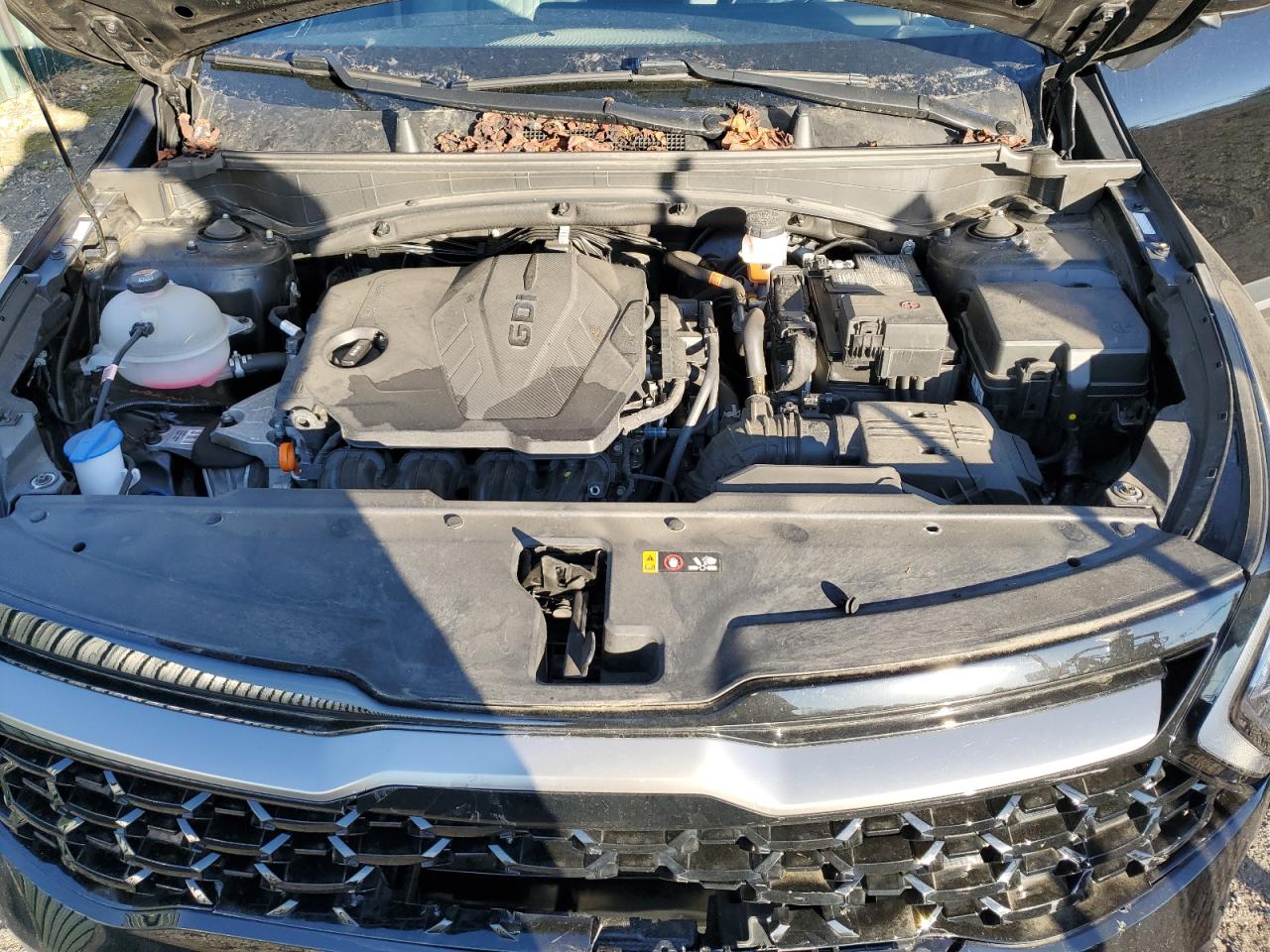 2023 KIA SPORTAGE X LINE VIN:5XYK6CAF0PG074566