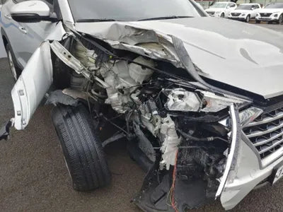 2020 Hyundai Tucson KMHJ3812GLU180650 VIN:KMHJ3812GLU180650