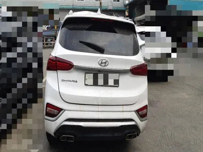 2019 Hyundai Santa FE KMHS581BBLU263475 VIN:KMHS581BBLU263475