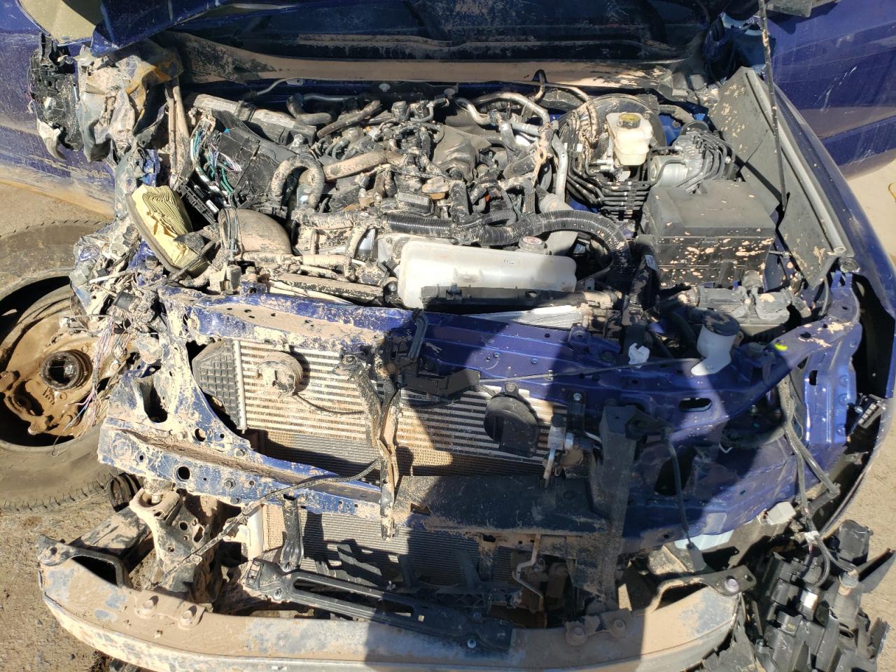 2024 TOYOTA TACOMA DOUBLE CAB VIN:3TMLB5JN4RM039022