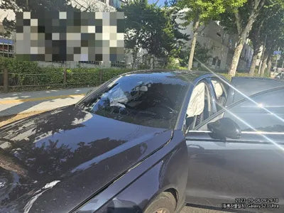 2016 Audi A6 556KMWAUZZZ4G1GN1 VIN:556KMWAUZZZ4G1GN1