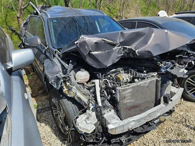 2020 Hyundai Santa FE KMHS381HGMU323913 VIN:KMHS381HGMU323913