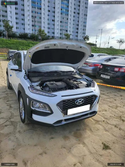 2020 Hyundai Kona KMHK4815GLU554531 VIN:KMHK4815GLU554531