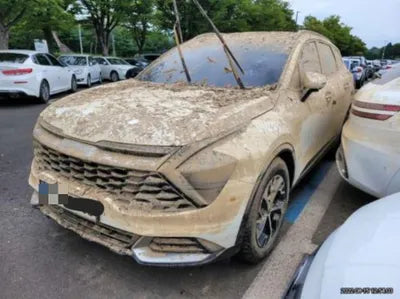 2022 Kia Sportage KNAPY81BGNK010773 VIN:KNAPY81BGNK010773