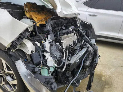2019 Kia Sportage KNAPN813BKK670181 VIN:KNAPN813BKK670181