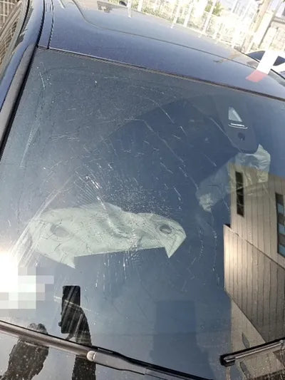 2017 BMW 320 WBA8D1108HK777177 VIN:WBA8D1108HK777177