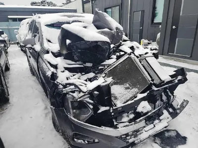 2019 Hyundai Santa FE KMHS381BBKU074359 VIN:KMHS381BBKU074359