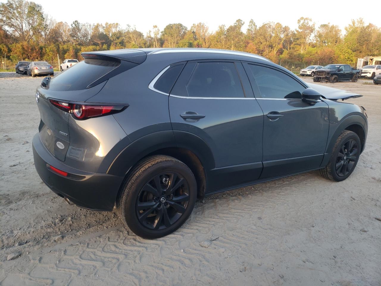 2023 MAZDA CX-30 PREFERRED VIN:3MVDMBCM0PM586477