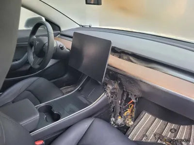 2020 Tesla Model 3 5YJ3E1EA5LF756516 VIN:5YJ3E1EA5LF756516