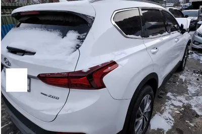 2019 Hyundai Santa FE KMHS281BDKU113892 VIN:KMHS281BDKU113892