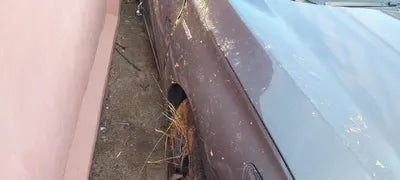 2019 Honda Accord 1HGCV3690KA510669 VIN:1HGCV3690KA510669