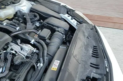 2019 Toyota Camry JTNB21HK9K3047880 VIN:JTNB21HK9K3047880