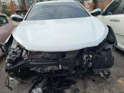 2017 Hyundai Santa FE KMHSW81UBJU839596 VIN:KMHSW81UBJU839596