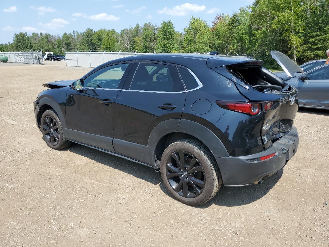 2023 MAZDA CX-30 PREMIUM VIN:3MVDMBDY5PM587643