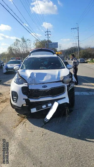 2016 Kia Sportage 004KMKNAP6815GGK0 VIN:004KMKNAP6815GGK0