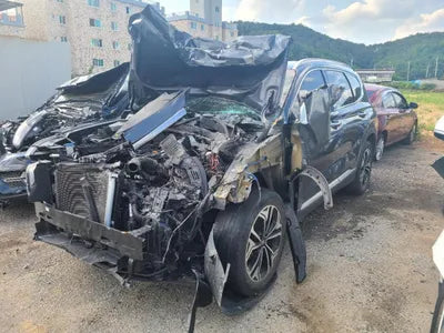 2018 Hyundai Santa FE KMHS381BBKU036294 VIN:KMHS381BBKU036294