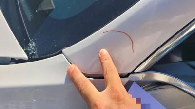 2019 Tesla Model 3 VIN:
