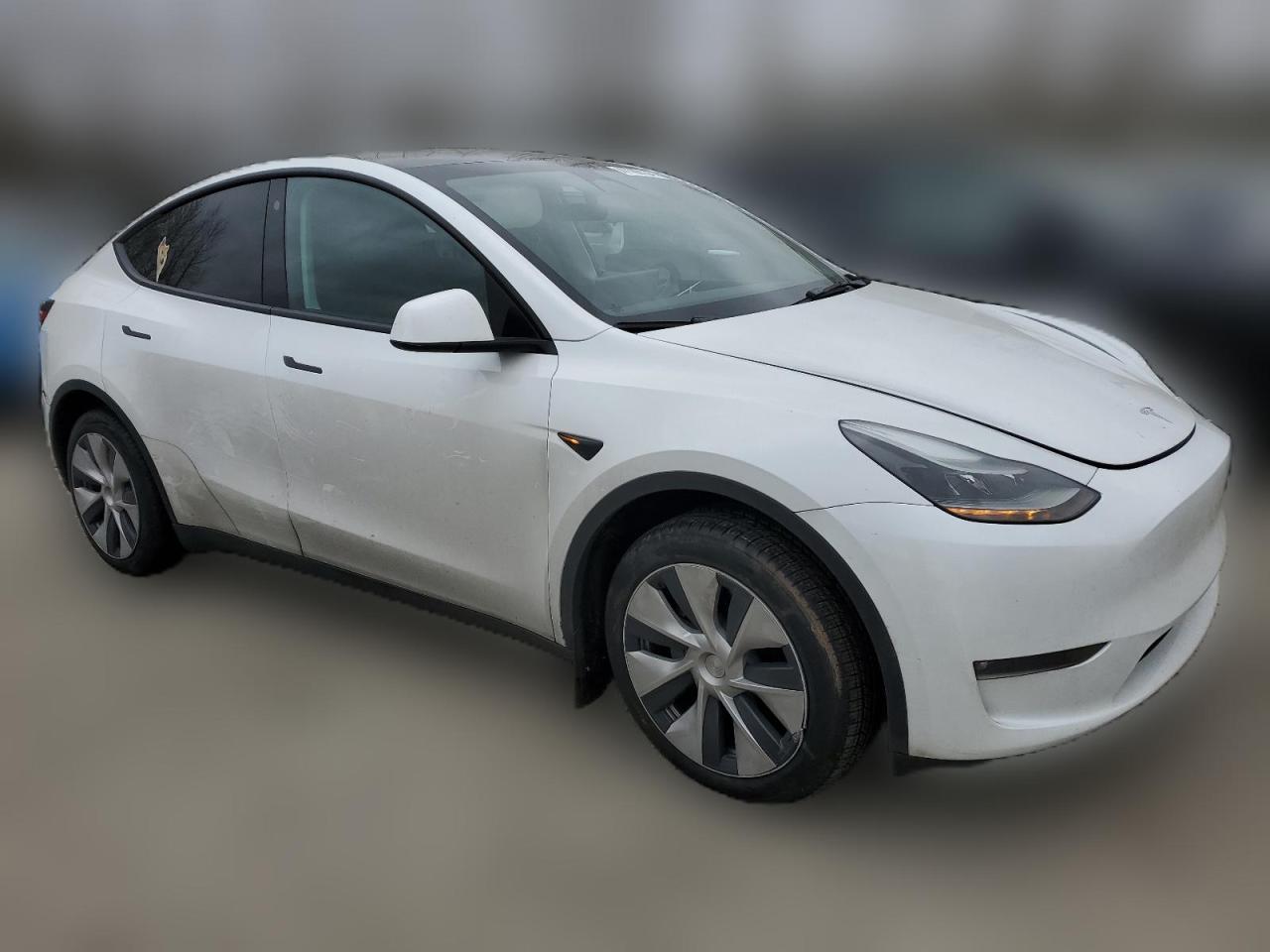 2023 TESLA MODEL Y  VIN:7SAYGAEE9PF624984