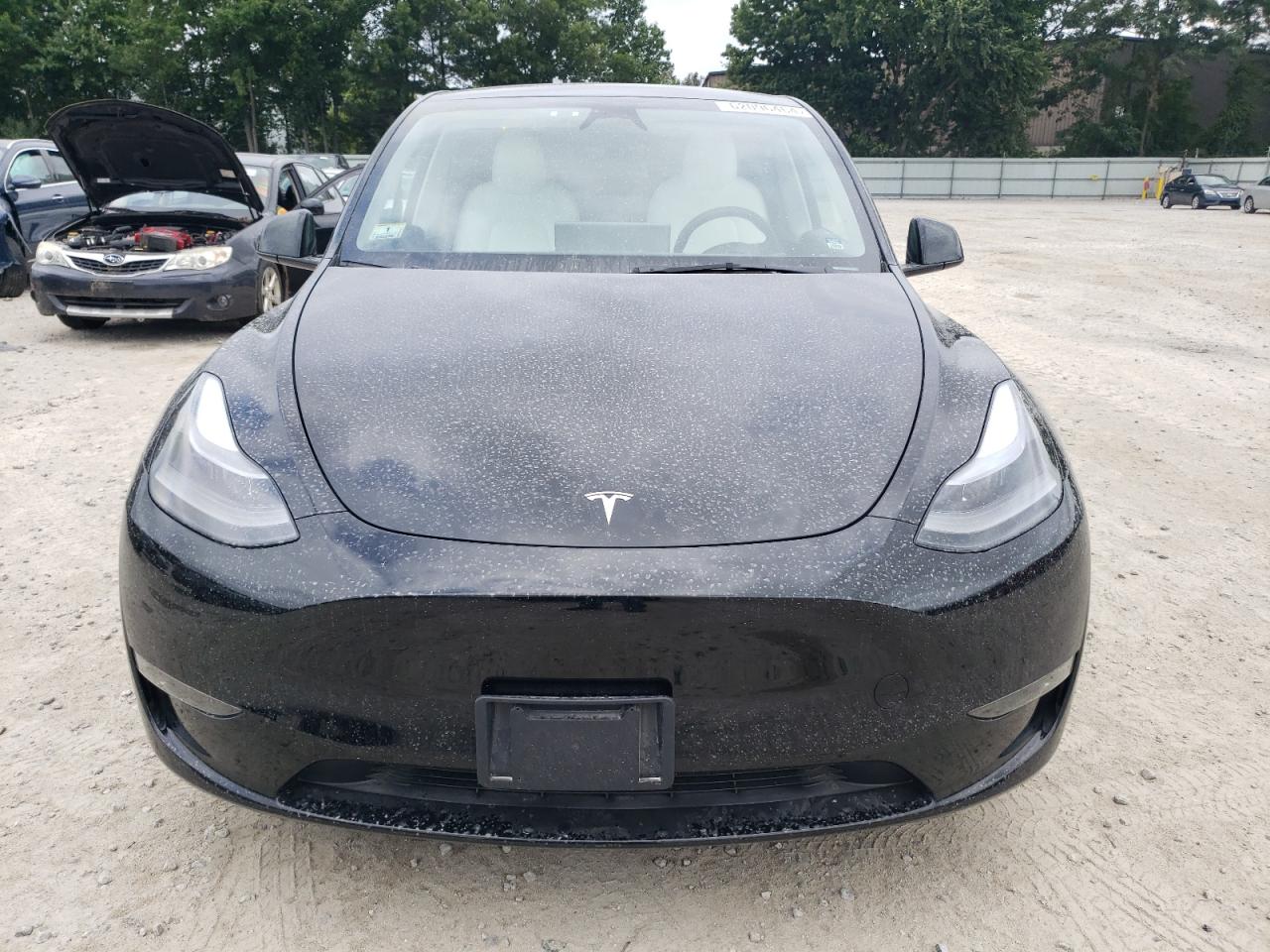 2023 TESLA MODEL Y  VIN:7SAYGDEEXPA205699