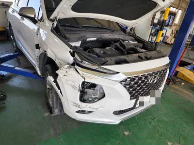 2019 Hyundai Santa FE KMHS581ABLU247207 VIN:KMHS581ABLU247207