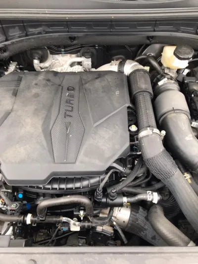 2022 Kia Sorento KNARM81FGNA147321 VIN:KNARM81FGNA147321