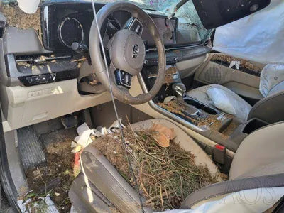 2021 Kia Carnival KNANB81BBMS126678 VIN:KNANB81BBMS126678