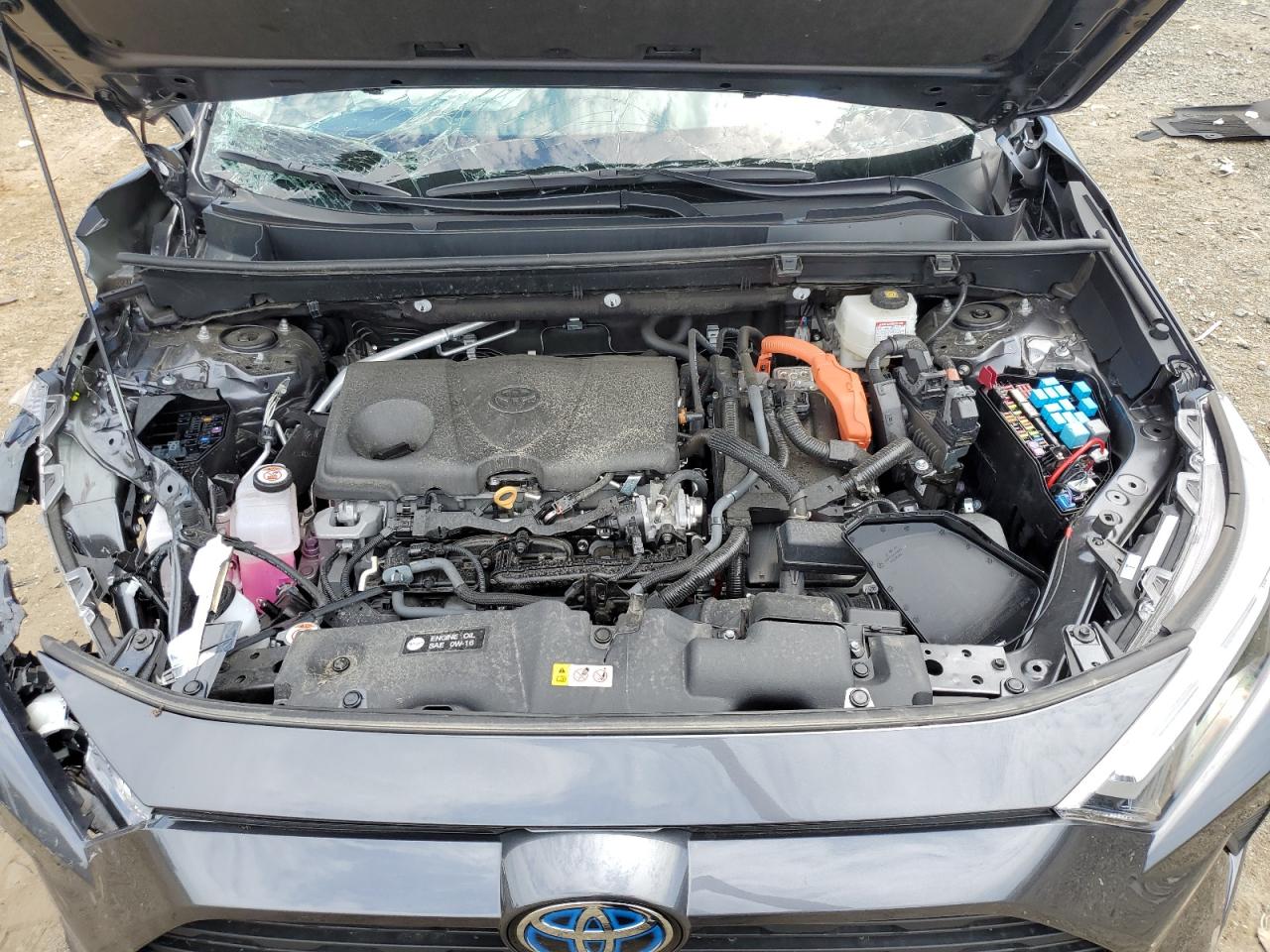 2023 TOYOTA RAV4 XLE VIN:4T3RWRFV9PU108636