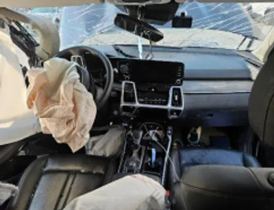 2021 Kia Sorento KNARL81BGMA078047 VIN:KNARL81BGMA078047