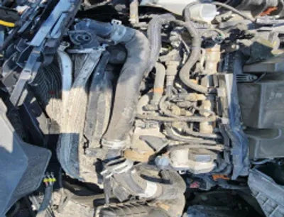 2020 Kia Sportage KNAP6812GLK849627 VIN:KNAP6812GLK849627