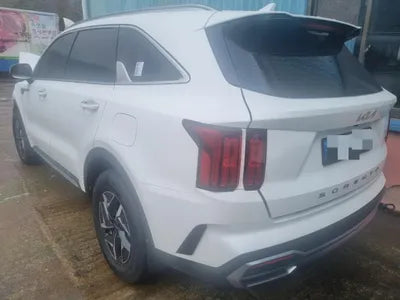 2021 Kia Sorento KNARH81GBNA083565 VIN:KNARH81GBNA083565