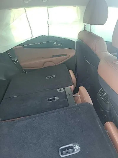 2019 Kia Sorento KNAPH81BBLA612488 VIN:KNAPH81BBLA612488