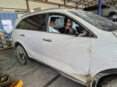 2019 Kia Sorento KNAPH81BBLA573070 VIN:KNAPH81BBLA573070