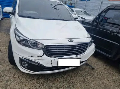 2015 Kia Carnival KNAMC81ABFS038066 VIN:KNAMC81ABFS038066