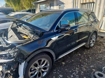 2023 Kia Sorento KNARH81BGPA211229 VIN:KNARH81BGPA211229