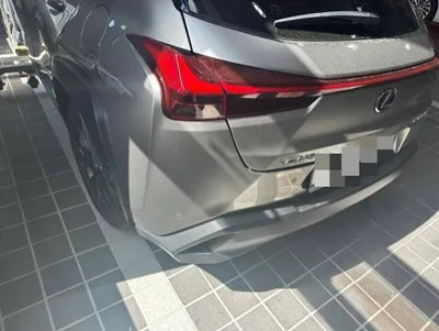 2019 Lexus UX 250 JTHY6JBH3K2002938 VIN:JTHY6JBH3K2002938