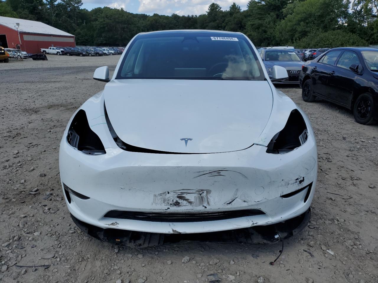 2023 TESLA MODEL Y  VIN:7SAYGDEEXPA117381