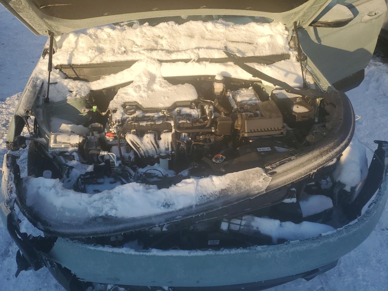 2024 HYUNDAI KONA SEL VIN:5NTJDDAF5PH052824