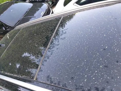 2022 Kia Sorento KNARH81GBNA093689 VIN:KNARH81GBNA093689