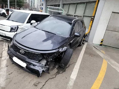 2021 Kia Sorento KNARK81BGMA006864 VIN:KNARK81BGMA006864