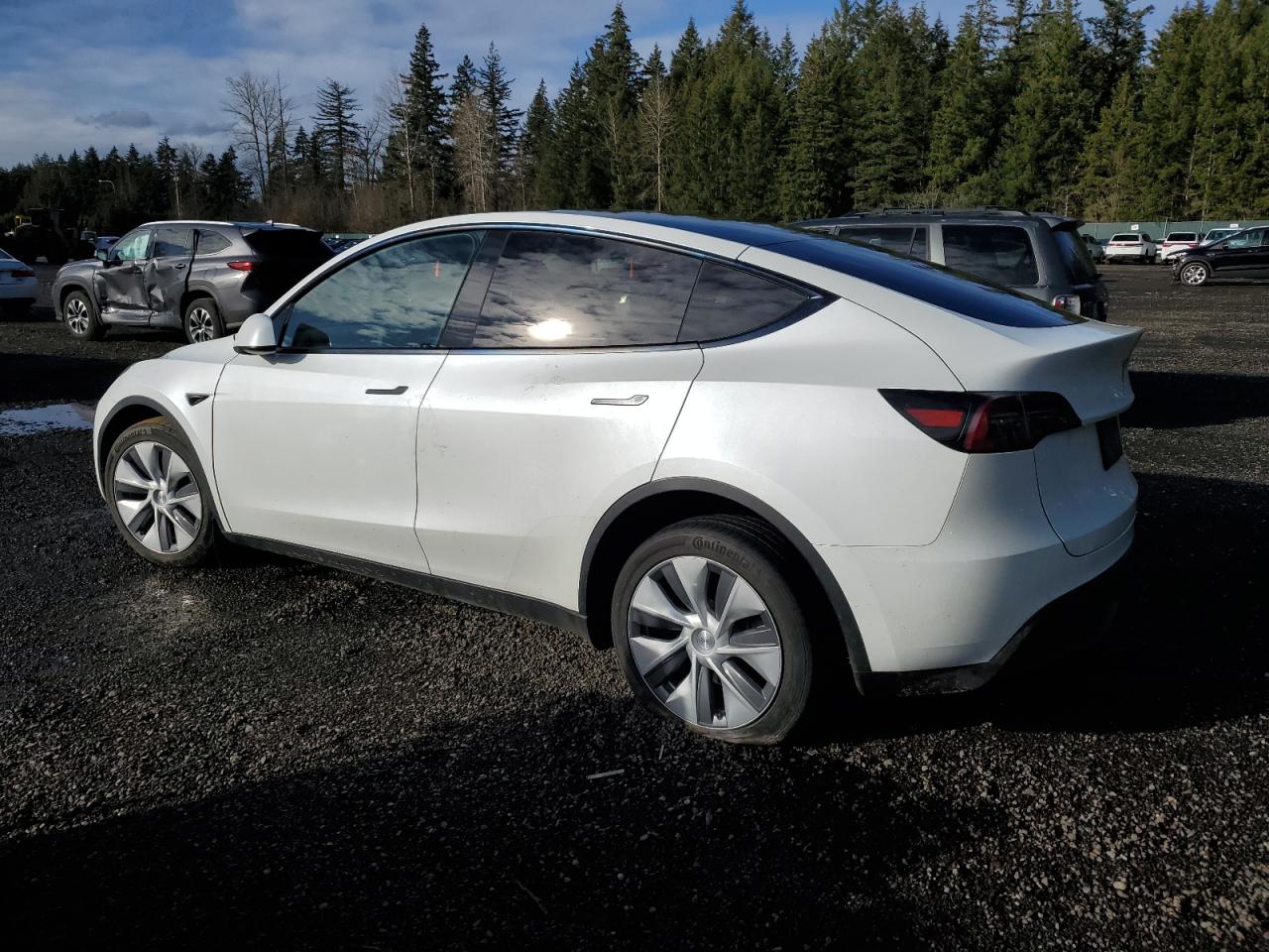 2024 TESLA MODEL Y  VIN:7SAYGAEE1RF988982