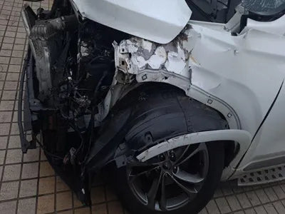 2019 Hyundai Santa FE KMHS581CBKU081567 VIN:KMHS581CBKU081567