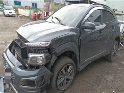 2019 Hyundai Kona KMHK4815GKU387758 VIN:KMHK4815GKU387758